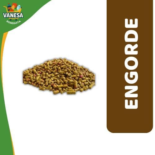 ENGORDE
